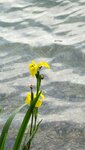 IMG_2641.jpg
