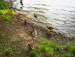 IMG_2647.jpg