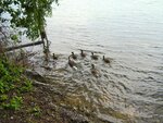 IMG_2649.jpg