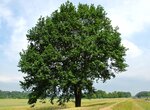 unterwegs 2 110.jpg