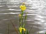 19.6.11 074.JPG
