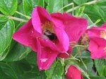 IMG_3681.jpg