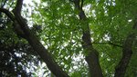 IMG_2965.jpg