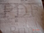 DSC07292.jpg