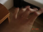 DSC07293.JPG