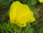 10.7.11 024.JPG