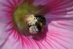 DSC_5897kl.jpg