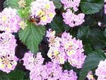 IMG_3064.jpg