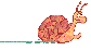 schnecken-24443.gif