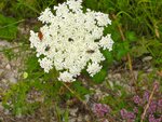 IMG_3086.jpg