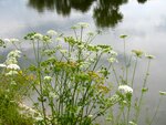 IMG_3088.jpg