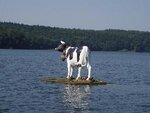reisebericht_100828.jpg