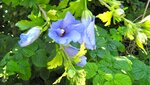 IMG_3108.jpg