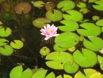 IMG_3104.jpg