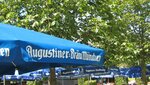 IMG_3116.jpg