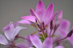 DSC_3477kl.jpg