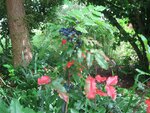 IMG_3710.jpg