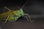 DSC_6083kl.jpg