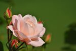 DSC_5835kl.jpg