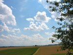 IMG_3179.jpg