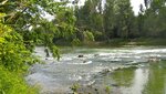 IMG_3241.jpg