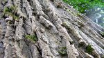 IMG_3266.jpg