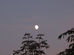 Mond 007.JPG