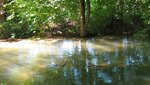IMG_3636.jpg