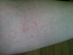16092011524.jpg