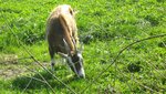 IMG_3760.jpg