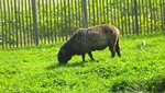 IMG_3761.jpg