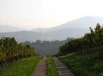 Septemberende 11 120.JPG