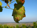 Septemberende 11 050.JPG