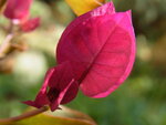 RIMG0378.JPG