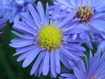 RIMG0380.JPG