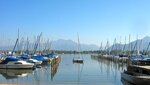 IMG_3829.jpg