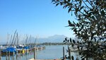 IMG_3822.jpg