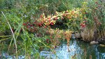 IMG_3837.jpg