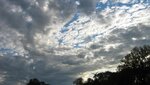 IMG_3897.jpg