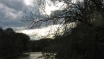 IMG_3894.jpg