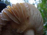 RIMG0498.JPG