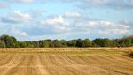 IMG_3929.jpg