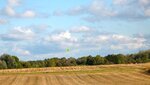 IMG_3931.jpg