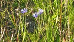 IMG_3957.jpg