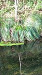 IMG_3976.jpg