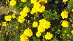 IMG_3987.jpg