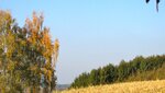 IMG_4029.jpg