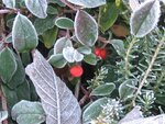 IMG_4065.jpg