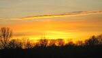 IMG_4505.jpg