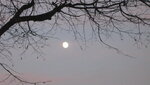 IMG_4508.JPG